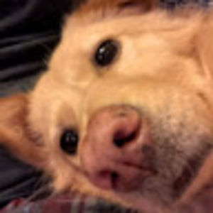 Meet your Posher, Joanne